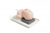 Laerdal Neonatal Intubation Trainer